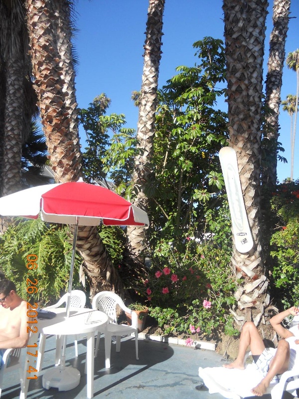 Tradewinds Airport Hotel Main image